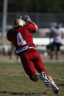 乐鱼体育官网登录-NBA球队球员合同谈判分析，nba球队球员合同谈判分析图