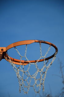 乐鱼体育官网注册-NBA球队球员培养规划设计，nba对球员的要求是什么