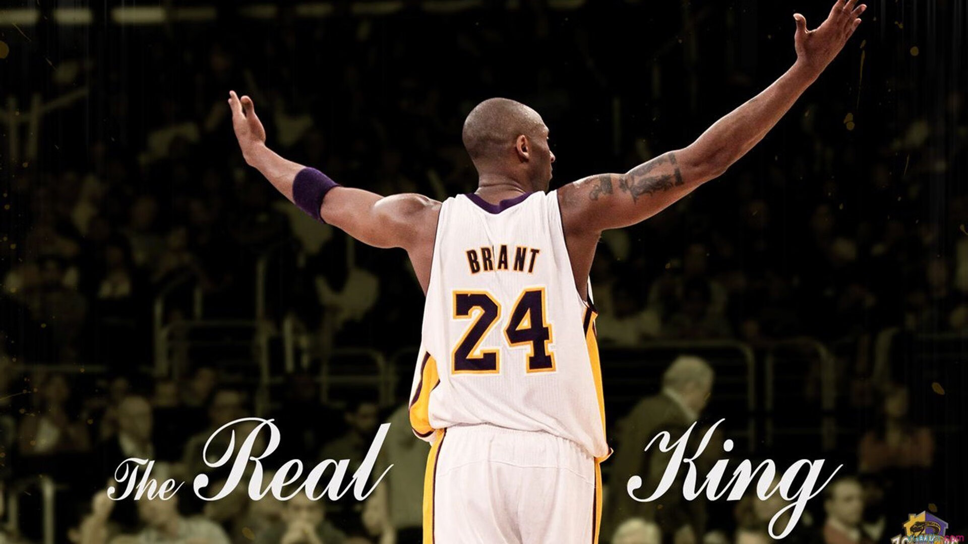 乐鱼体育app-国家队推广比赛中指令手势统一提升沟通效率