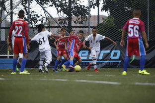 乐鱼官网介绍-中国足球联赛青少年发展人才储备现状，中国足球青训人才